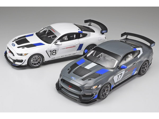 Tamiya 1/24 FORD MUSTANG GT4