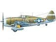Tamiya 1/48  P-47D THUNDERBOLT 'RAZORBACK